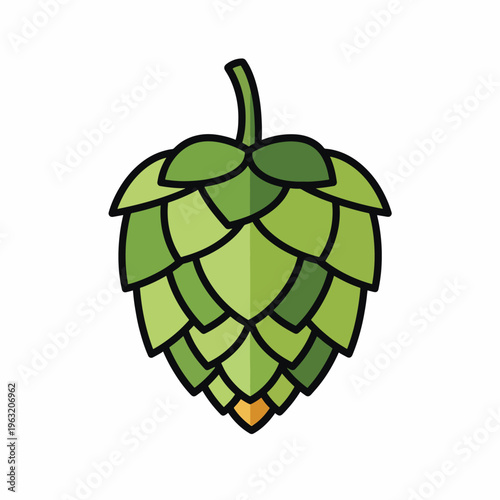 Green hop cone with stem on white background