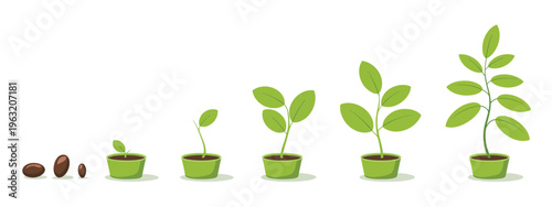 Set of green potted plants vector illustration