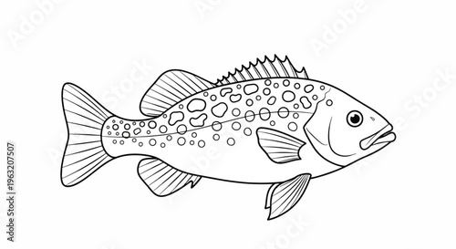 Fish with spots swimming on white background