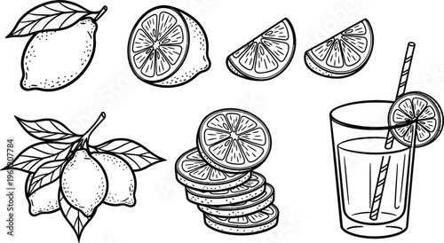 Illustration of lemons and lemonade with various slices and leaves