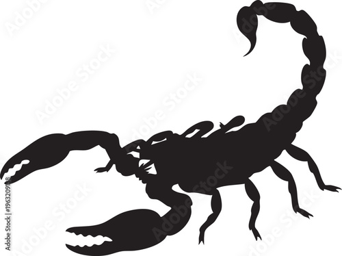 Black Scorpion Silhouette Vector with Raised Stinger