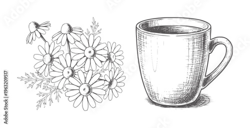 Hand drawn chamomile flowers beside a sketched coffee mug drink