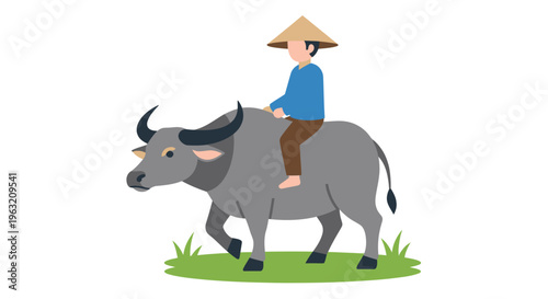 Man riding a large grey bull.