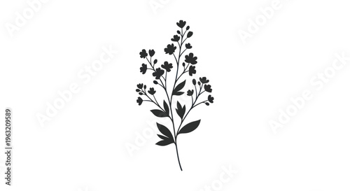 Black silhouette of a flowering plant.