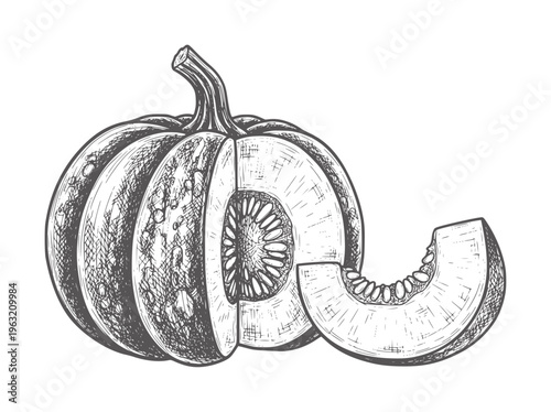 Hand drawn of a halved pumpkin with a slice showing seeds and pulp squash gourd vegetable