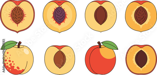 Peach Fruit Vector Set Showing Whole, Half, and Cut Peaches with Seeds, Leaves, and Fresh Summer Food Illustration for Packaging and Healthy Lifestyle Design