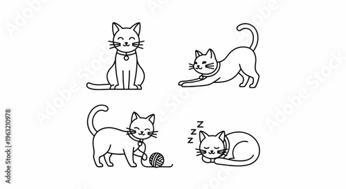 Four cats in different playful poses on white background