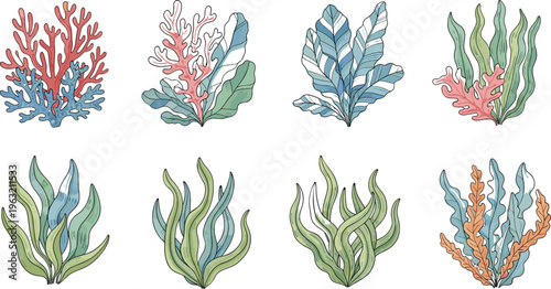 Seaweed and Coral Collection Vector Set Featuring Underwater Marine Plants and Reef Elements for Ocean, Aquarium, and Aquatic Nature Design Projects