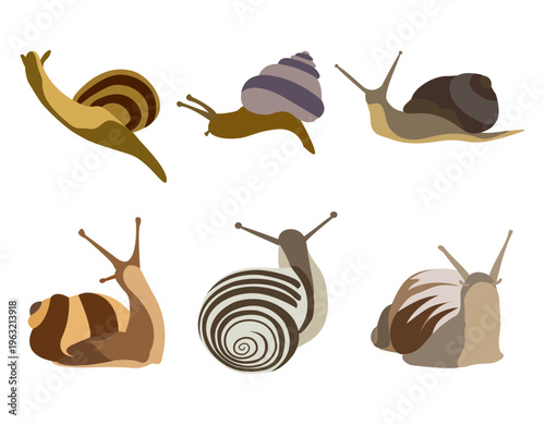 Snail Collection Flat Vector Set Garden Mollusks