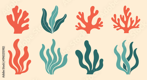 Collection of colorful coral and seaweed designs for ocean themed projects