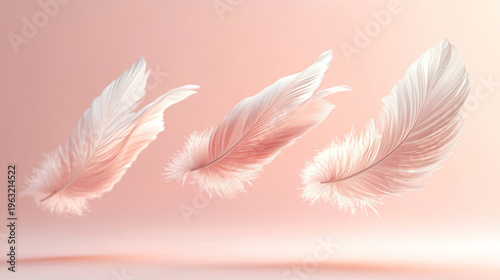 Soft white feathers float gently downwards in warm sunlight on pink background.