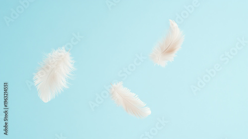 Delicate feather floats gently in soft light against a pale background. soft lighting and a clean. 