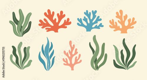 Colorful coral reef elements in various shapes and sizes