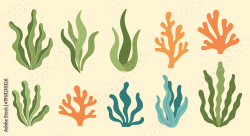 Seaweed and Coral Reef Elements on Beige Background