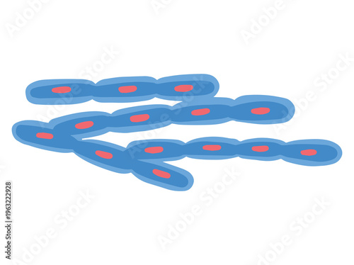 Bacillus Anthracis Virus Illustration