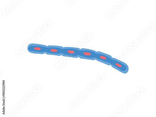 Bacillus Anthracis Virus Illustration