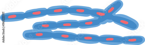 Bacillus Anthracis Virus Illustration