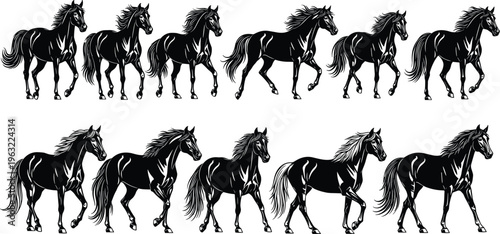 Large collection of black horse silhouettes in various walking and standing poses with flowing manes isolated on white background for equestrian sport and nature design