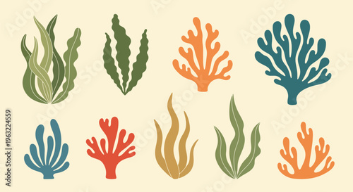 Collection of colorful coral reef seaweed ocean plants