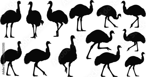 Large Collection of Ostrich Silhouettes with Black Vector Figures of African Flightless Birds for Wildlife Nature Illustration Zoo Signage and Safari Graphic Design