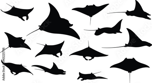 Manta ray black silhouette collection featuring various stingray species swimming in different poses for ocean life underwater nature and marine biology design.