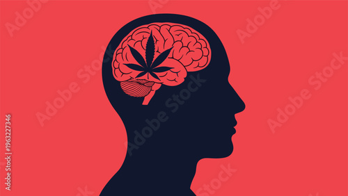 Conceptual image exploring impact of medical or recreational marijuana use on human brain function and health.