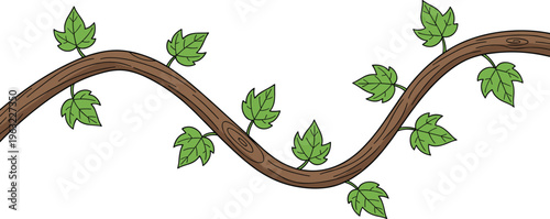 Green ivy vine growing on a curved brown tree branch vector illustration isolated on white background for nature forest garden and organic design.
