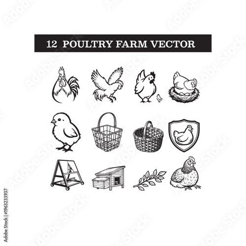 Set of various poultry icons