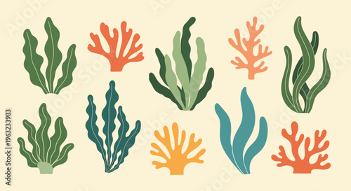 Colorful coral reef elements in various shapes and sizes