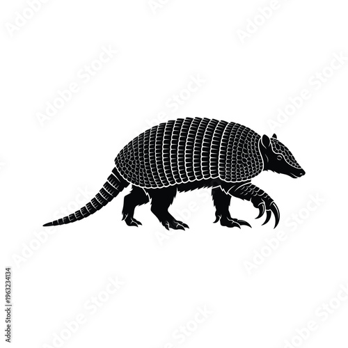 Black armadillo walking on white background animal wildlife