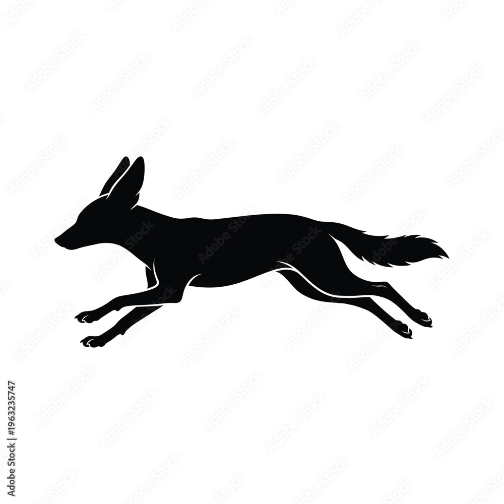 Fototapeta premium Black silhouette of a running jackal animal mammal