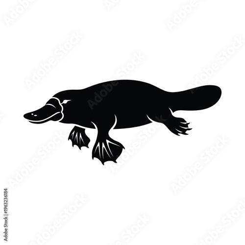 Black silhouette of a platypus on white background animal wildlife