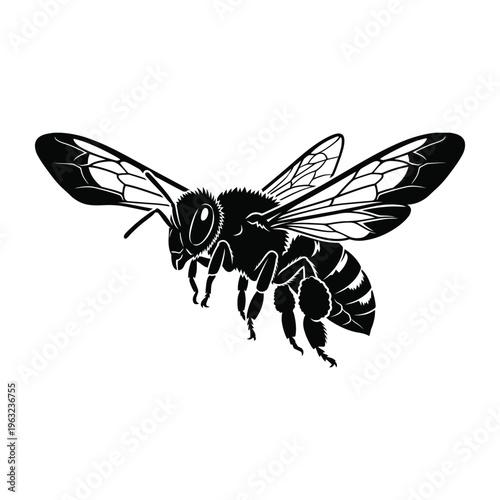 Black and white of a bee with outstretched wings insect striped