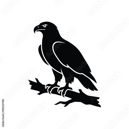 Black silhouette of a bird of prey perched on a branch white background eagle
