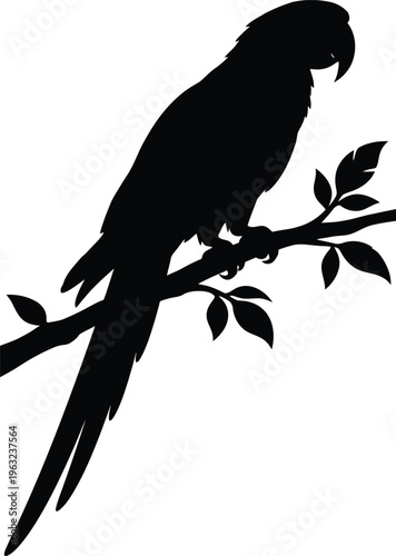 Black parrot silhouette perched on branch with leaves bird