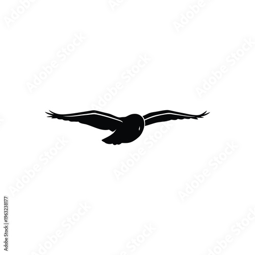 Black bird flying with outstretched wings on white background flying bird silhouette