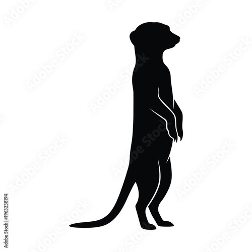 Black silhouette of a standing meerkat with white highlights