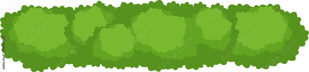 Fototapeta premium Green hedge row creating a garden border