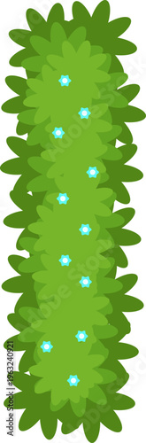 Green hedge growing with light blue small flowers