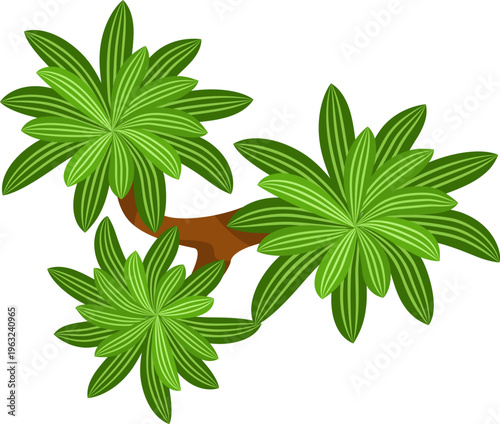 Top view green plant illustration providing design element
