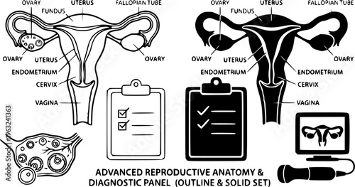 Gynecology Medical Checkup Icon Set - Human Uterus and Medical Clipboard Vector Illustration