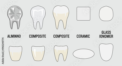 Dental illustrations showcasing various tooth materials and shapes