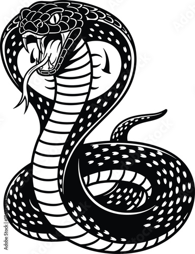 Detailed black and white illustration of cobra snake with expanded hood, open mouth, fangs, and coiled body, perfect for wildlife design, tattoo art, and creative projects.