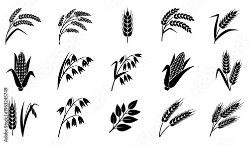 Premium Cereal Crop Seamless Pattern Vector with Wheat Rice Corn Oats Rye and Barley Silhouette Icons on White