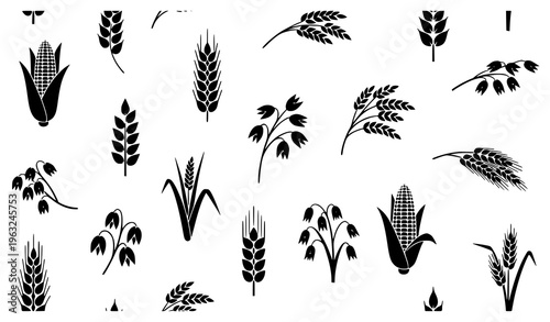 Scattered Cereal Crop Seamless Pattern Vector with Black Wheat Rice Corn and Grain Icons on White Background