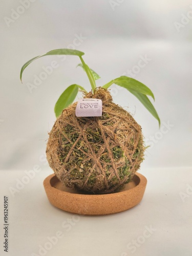 Handmade Kokedama with Love Tag, Minimalist Plant Gift Background, Eco-friendly Wallpaper