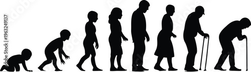 Evolution of humans from ape to elderly