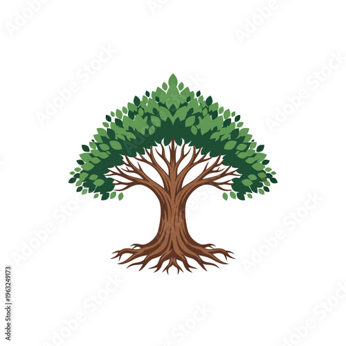 Stylized illustration of a large, mature tree with a strong trunk, spreading branches, and lush green foliage, symbolizing growth and nature.