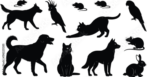 Animal silhouette collection with dog, cat, rabbit, mouse, parrot, cockatoo, pet animals set isolated black vector illustration domestic wildlife bundle clipart design
