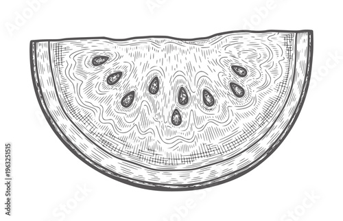 Black and white cross section of intestinal villi structure anatomy biology crosssection